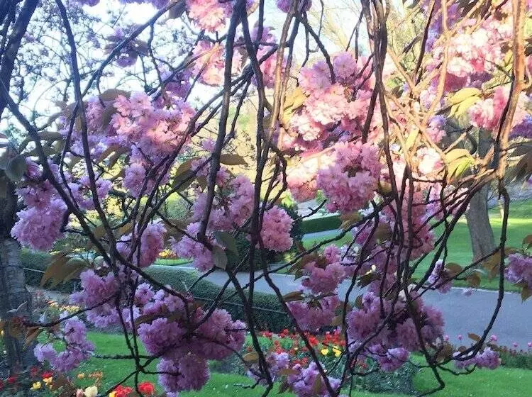 پانسیون Edinburgh 37