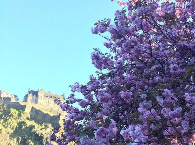 پانسیون Edinburgh 37