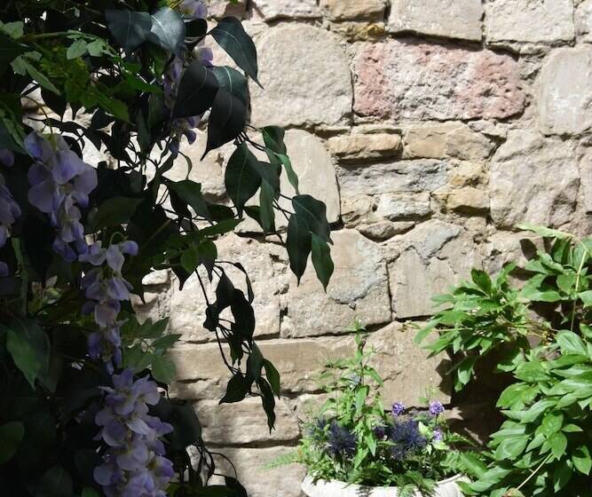 פנסיון Edinburgh 37