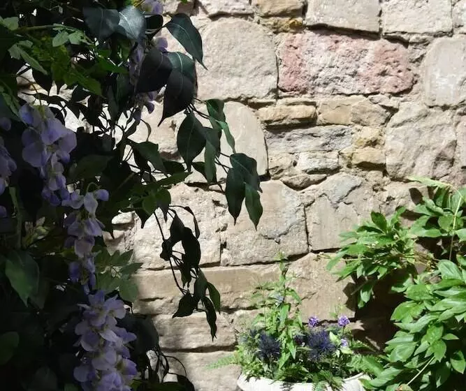 پانسیون Edinburgh 37