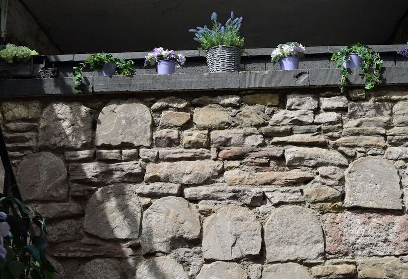 פנסיון Edinburgh 37