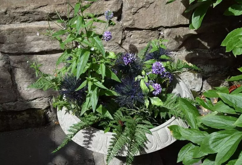 پانسیون Edinburgh 37