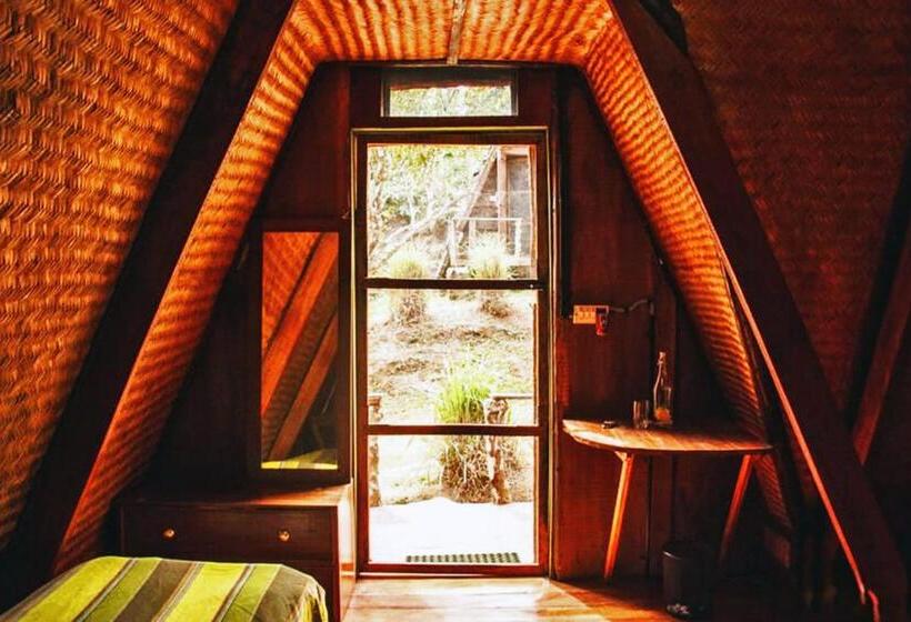 منتجع Turtle Pond Home Stay