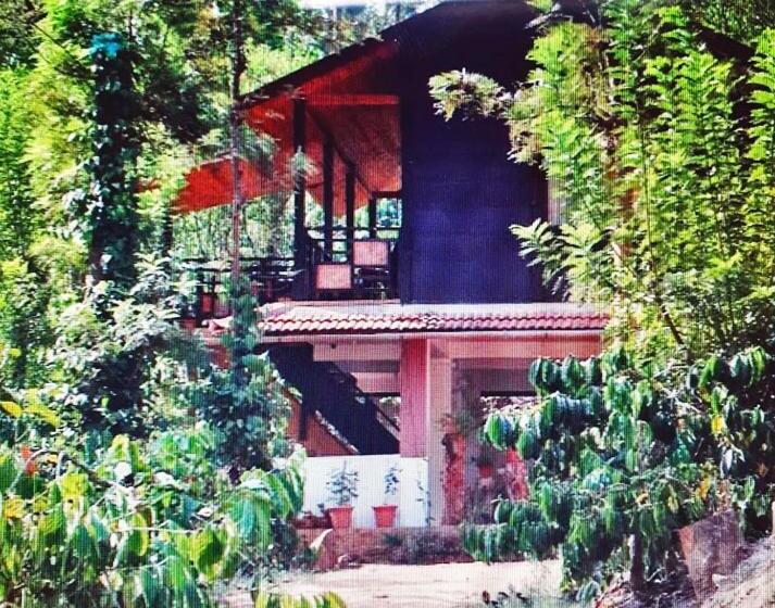 منتجع Turtle Pond Home Stay