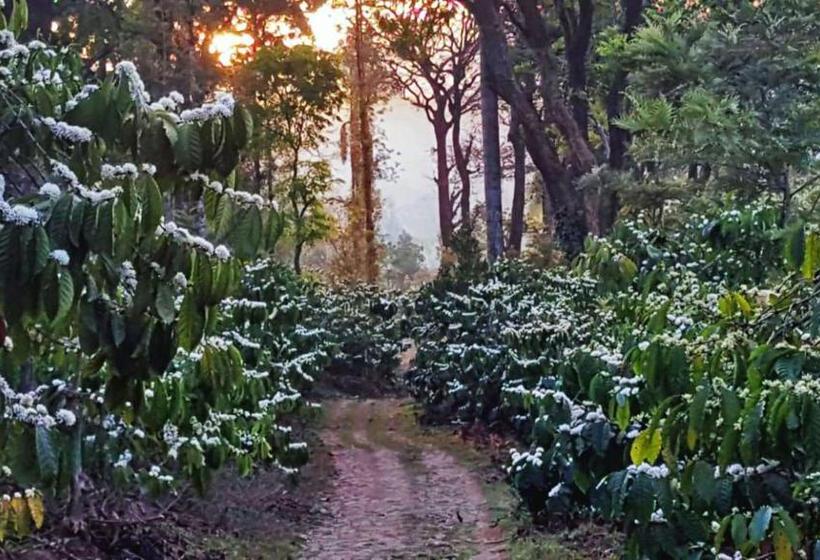 منتجع Turtle Pond Home Stay