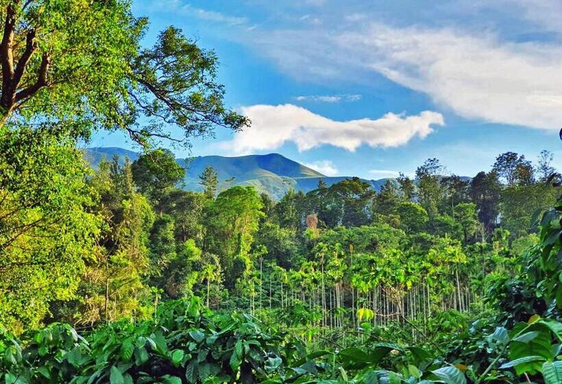 منتجع Turtle Pond Home Stay