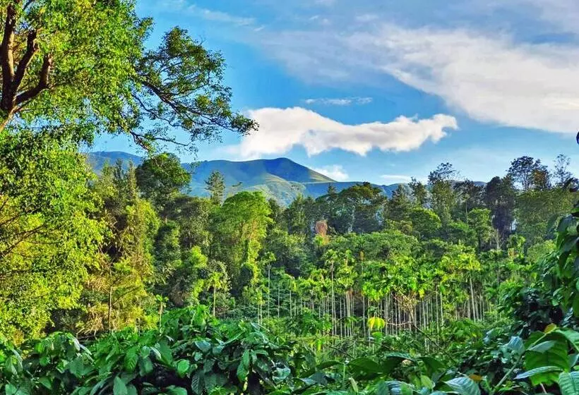 Lomakeskus Turtle Pond Home Stay