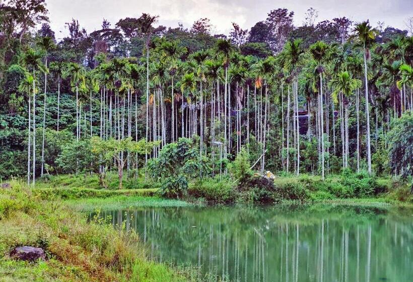 منتجع Turtle Pond Home Stay