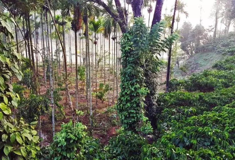 Lomakeskus Turtle Pond Home Stay