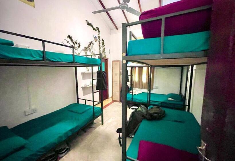 Rockstel Towers Backpacker Hostel