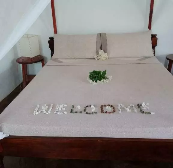 تختخواب و صبحانه Beb Sardegna2 Anjumasa Village