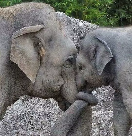 تختخواب و صبحانه Beb Sardegna2 Anjumasa Village