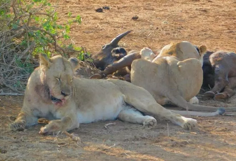 تختخواب و صبحانه Beb Sardegna2 Anjumasa Village