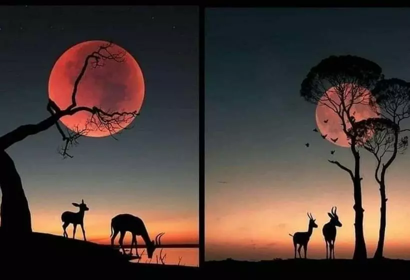 تختخواب و صبحانه Beb Sardegna2 Anjumasa Village