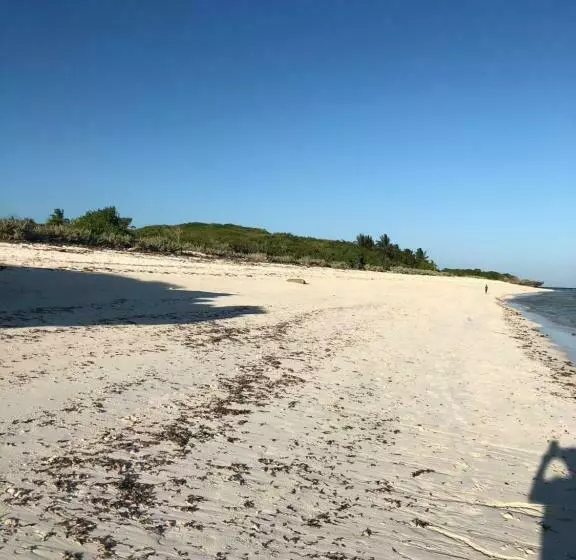 تختخواب و صبحانه Beb Sardegna2 Anjumasa Village