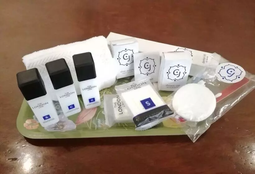 هتل Boutique Casa Del Jardín Aguascalientes