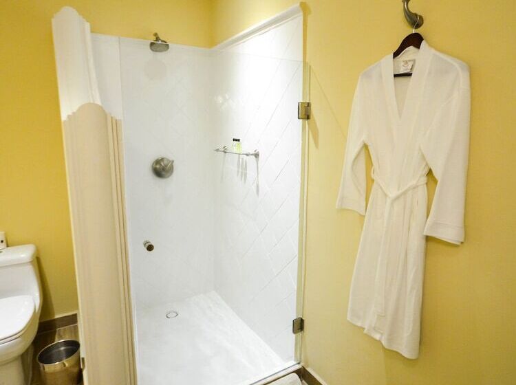 هتل Boutique Casa Del Jardín Aguascalientes