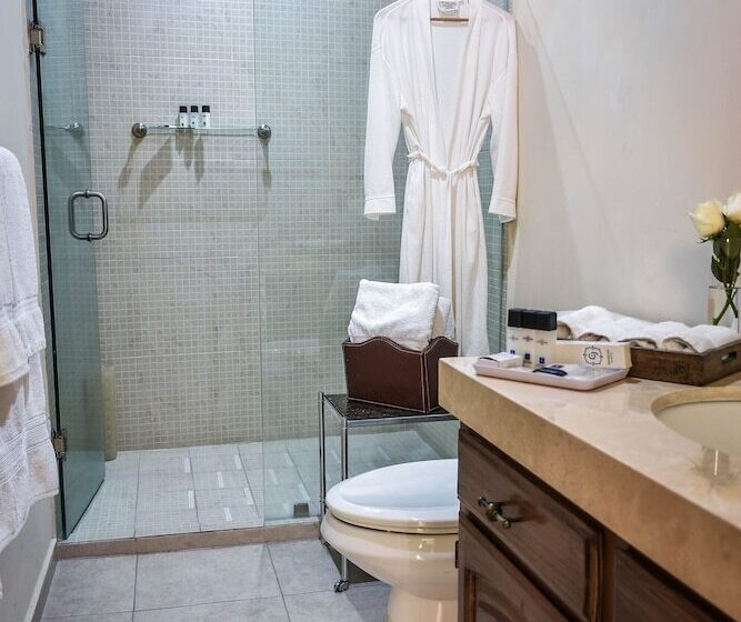 هتل Boutique Casa Del Jardín Aguascalientes