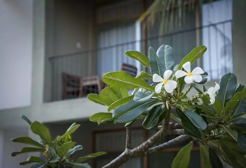 בית מלון כפרי Fresco Water Villa