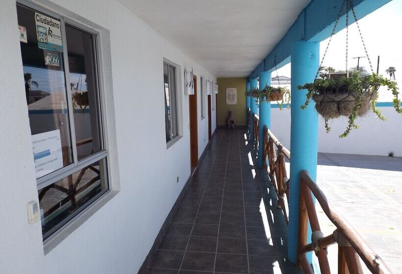 فندق Hospedaje Mulege