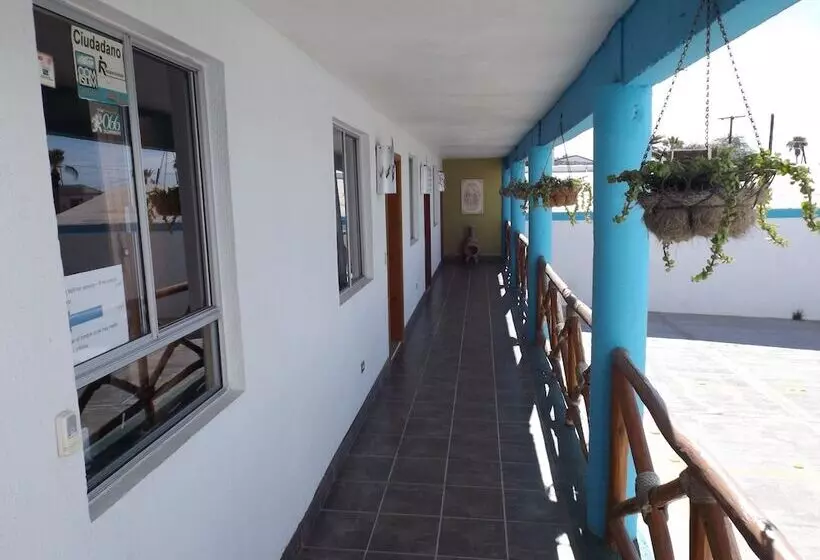 فندق Hospedaje Mulege