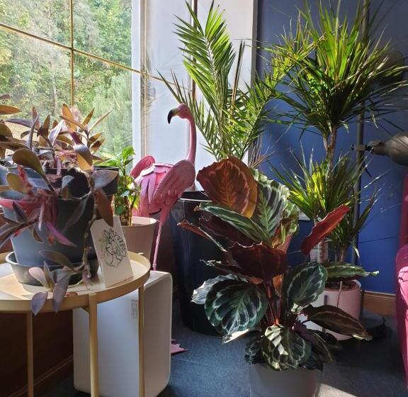 호텔 L Atelier Du Rêve