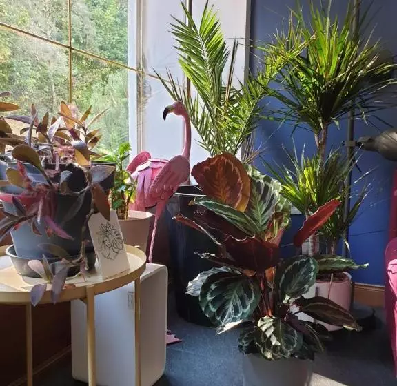 Отель L Atelier Du Rêve