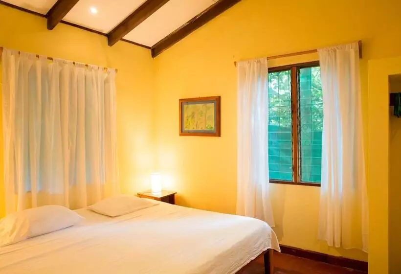 Nosara B&b Retreat