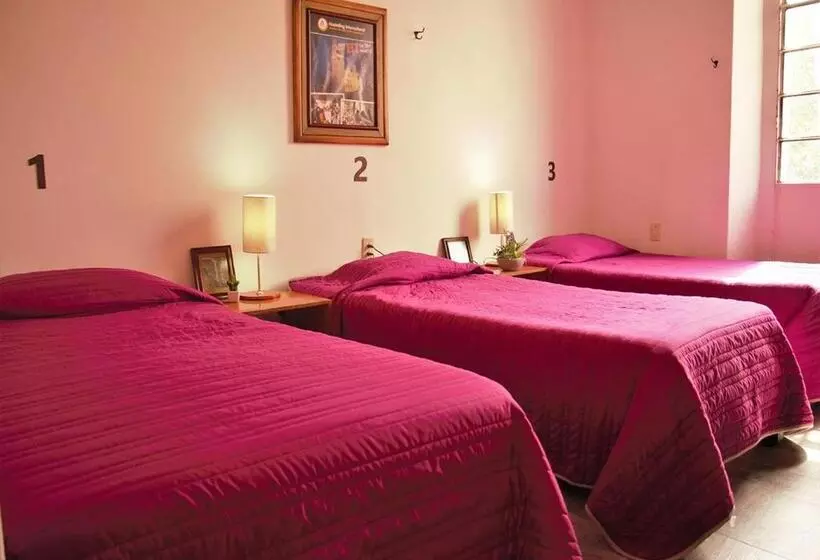 Hostel Lit Guadalajara