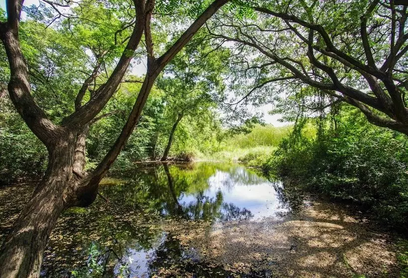 ホテル Ban Sabaidee