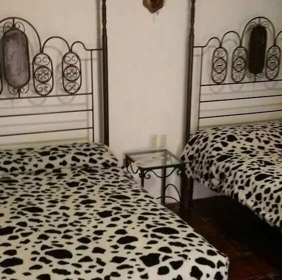 هتل Posada Morelos
