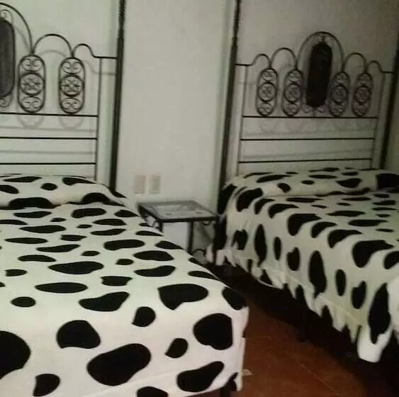 هتل Posada Morelos