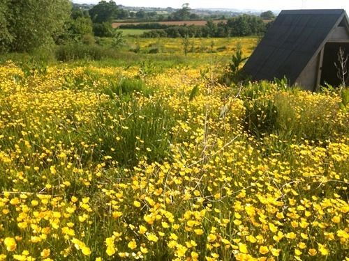 Huntstile Organic Farm