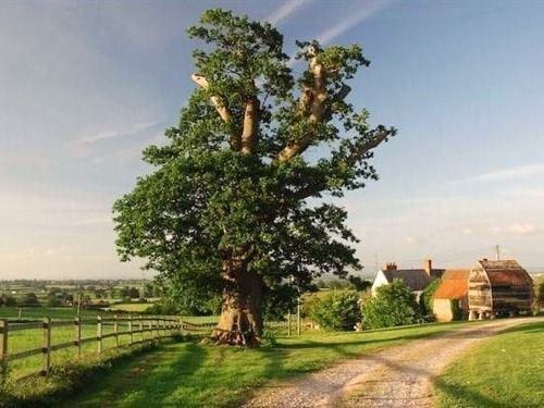 Huntstile Organic Farm