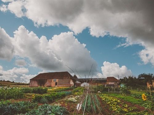 Huntstile Organic Farm