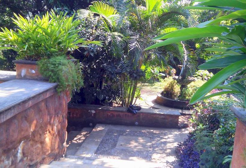 Los Tulipanes Hotel Boutique