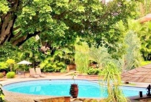 Los Tulipanes Hotel Boutique