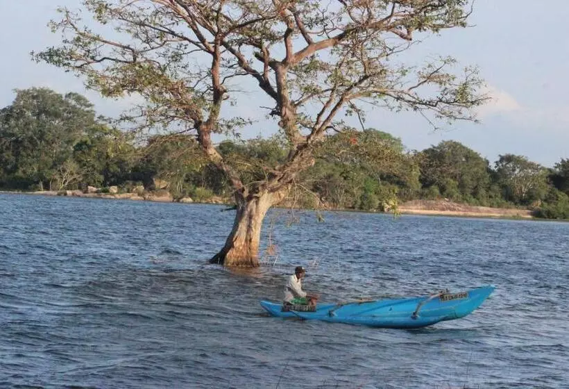 Miheen Hotel & Resort   Anuradhapura