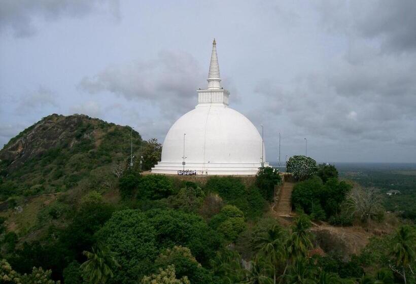Miheen Hotel & Resort   Anuradhapura
