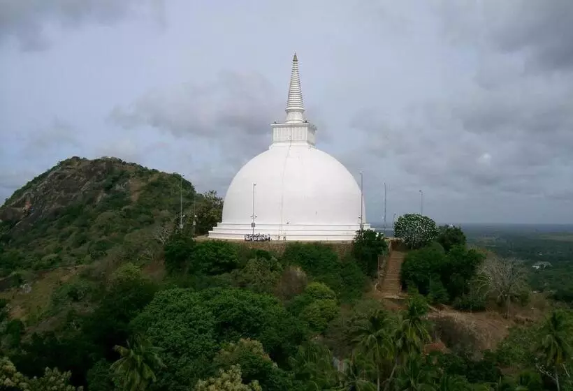 Miheen Hotel & Resort   Anuradhapura