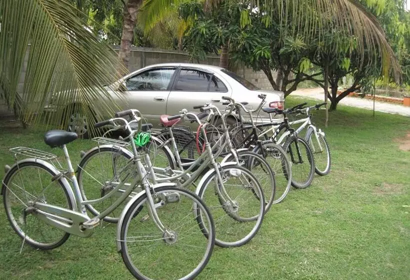 Miheen Hotel & Resort   Anuradhapura