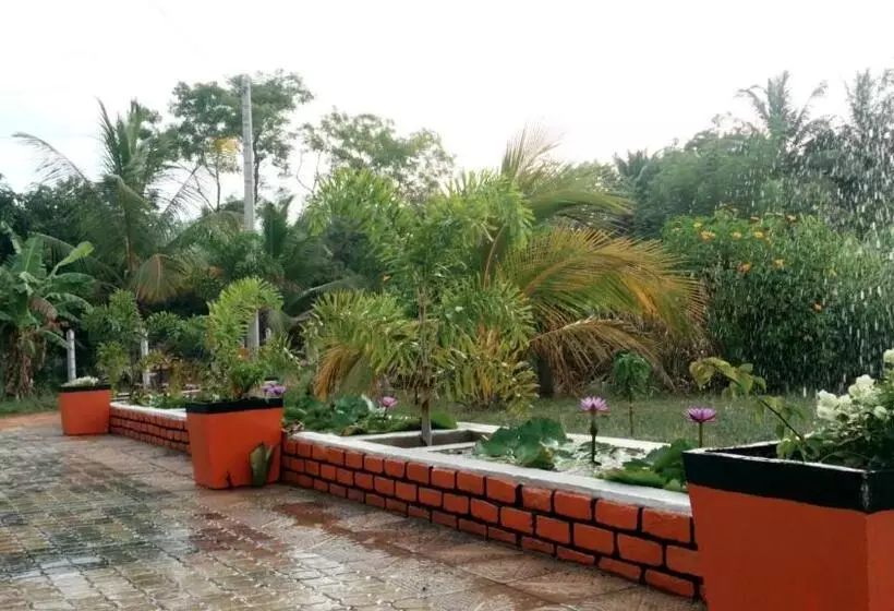 Miheen Hotel & Resort   Anuradhapura