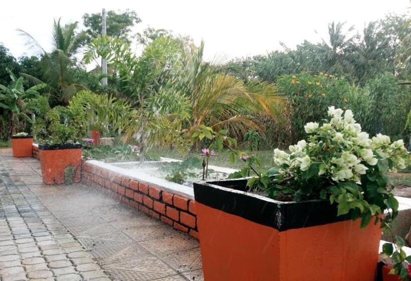 Miheen Hotel & Resort   Anuradhapura