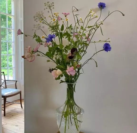 Bed and Breakfast Chillingham Manor