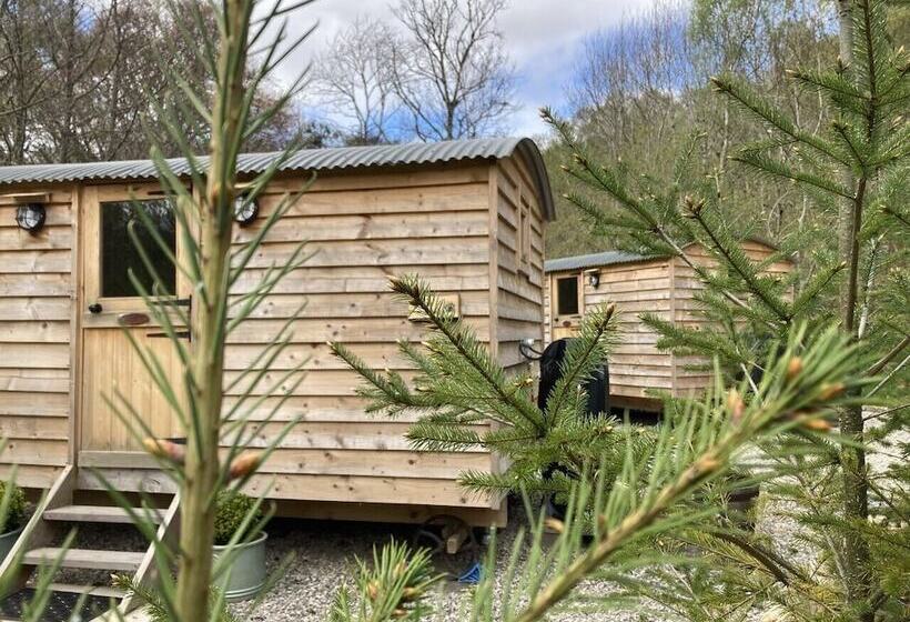 민박 Highland Bear Lodge & Luxury Bear Huts