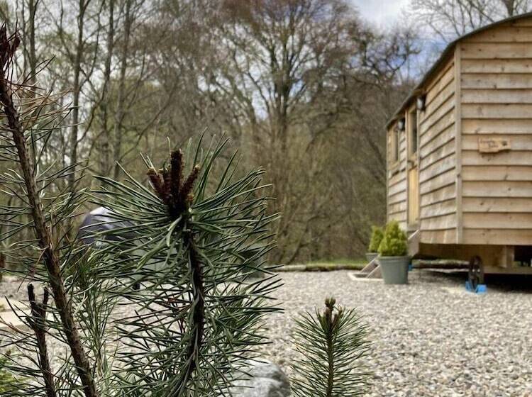 민박 Highland Bear Lodge & Luxury Bear Huts