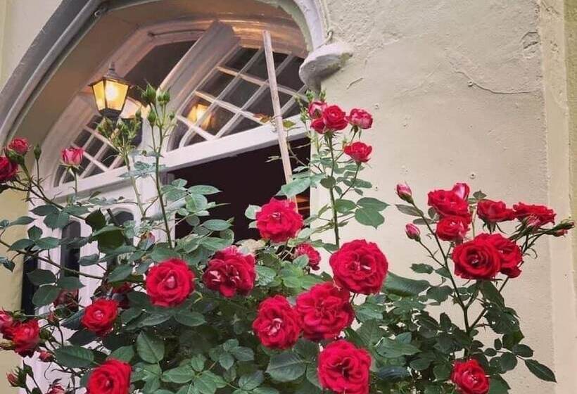 ホテル Cottage Inn