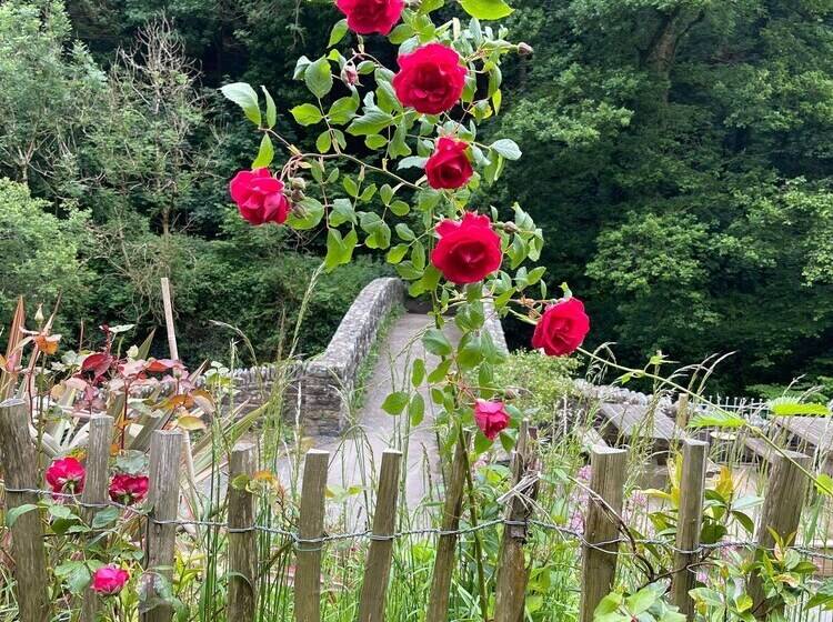 ホテル Cottage Inn