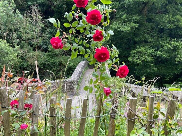 ホテル Cottage Inn