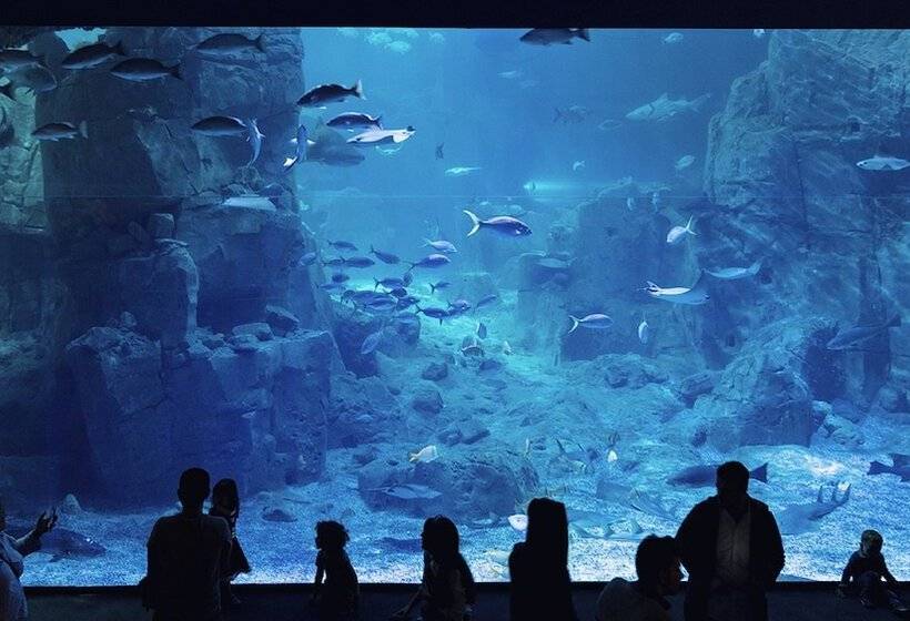 호텔 Crowne Plaza Florya Istanbul, An Ihg